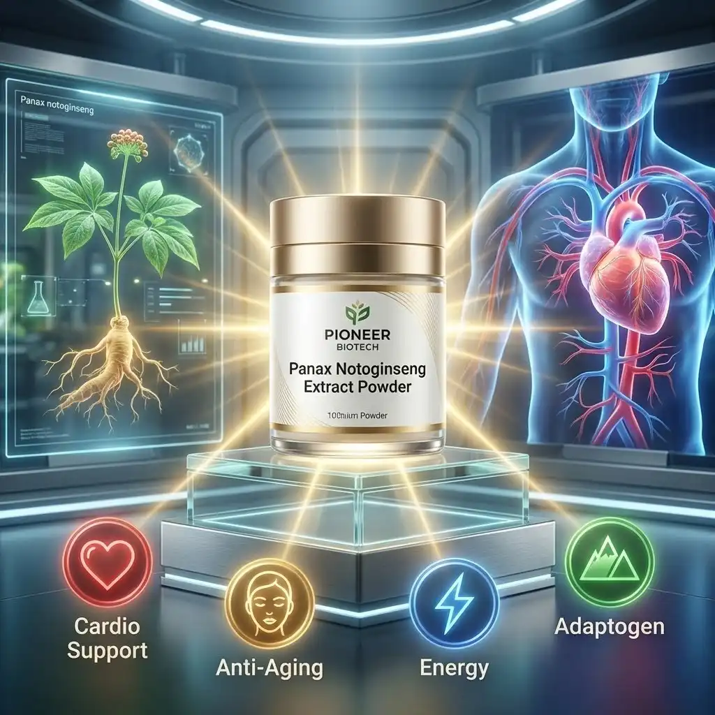 Understanding Panax Notoginseng Extract Powder: Benefits and Applications